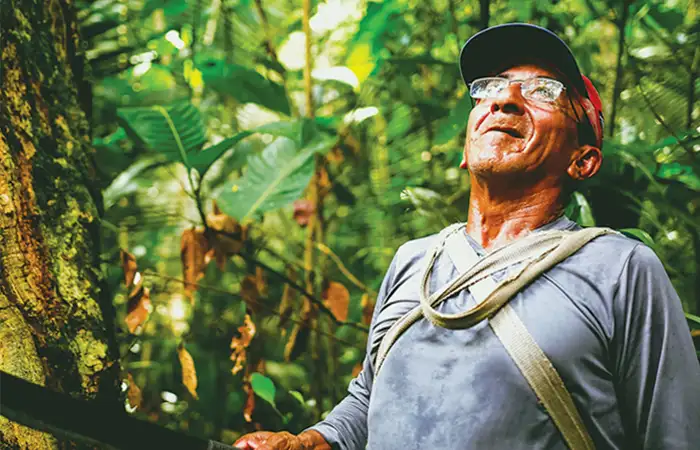 Case - Kaapi Ingredients | Site, SEO, Redes Sociais